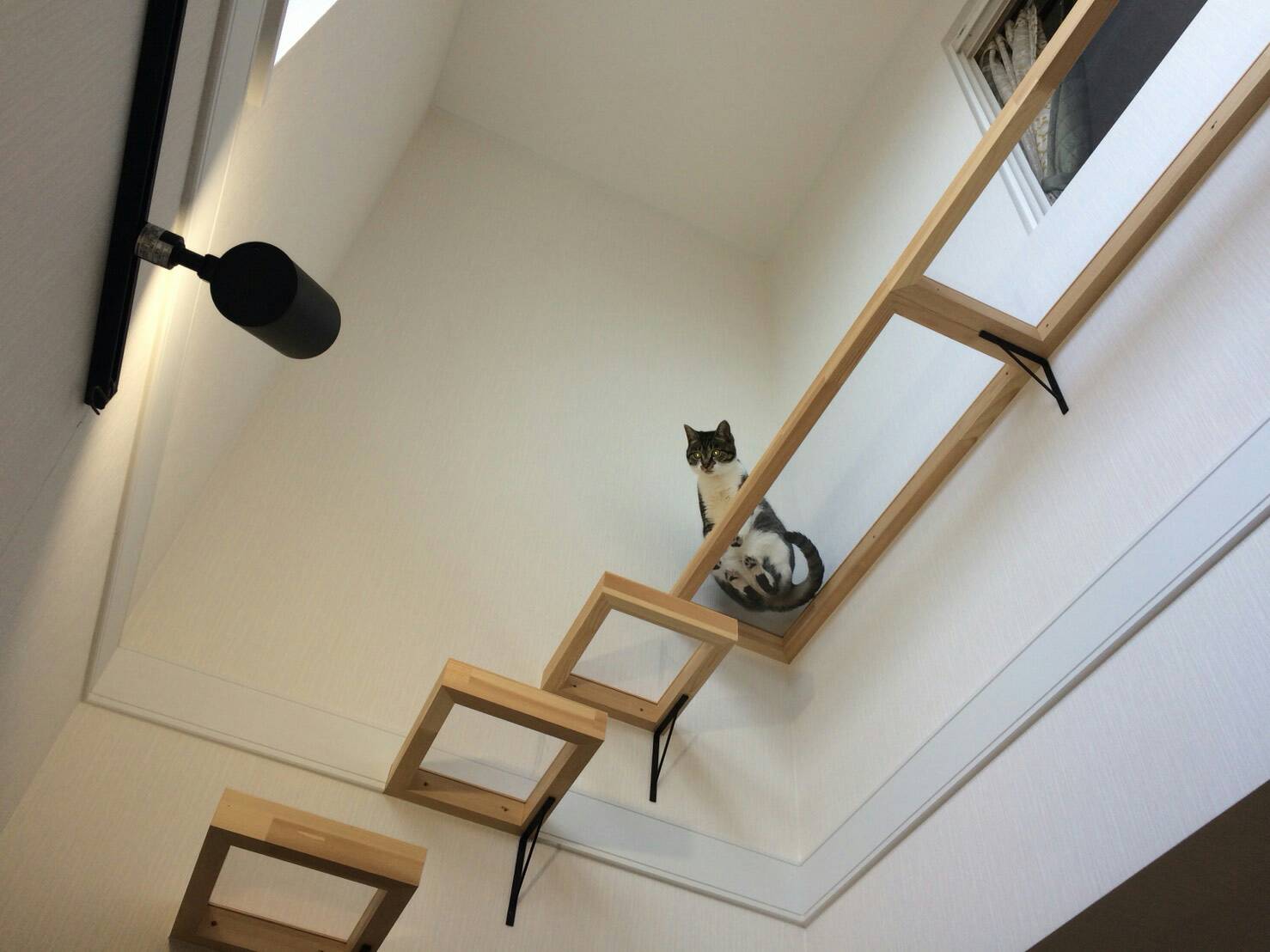 愛猫と暮らす猫階段のある家 秋田ホーム 秋田 大館の２ ４新築注文住宅 輸入住宅を扱う工務店